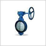 Cast Iron Wafer Butterfly Valve