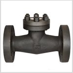 Piston Check Valve