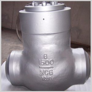 Pressure Seal Check Valve
