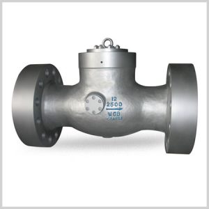 Tilting Disc Check Valve