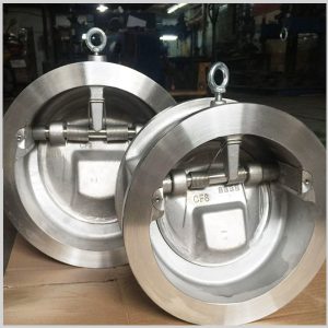 Wafer Check Valve