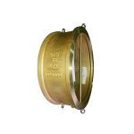 Dual Plate Check Valve C95800