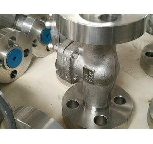 1 Inch Swing Check Valve, A182 F316, 1500 LB, Integral Flanged Ends